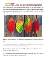 13 quy tắc sử dụng dấu phẩy trong tiếng Anh mà bạn nhất định phải biết