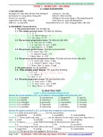 giáo án ôn thi thpt quốc gia môn tiếng anh năm 2017 rất hay