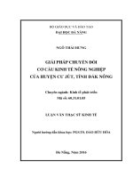 Luận văn thạc sĩ giải pháp chuyển đổi cơ cấu kinh tế nông nghiệp của huyện cư jút, tỉnh đăk nông 