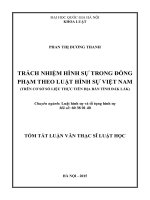 Trách nhiệm hình sự trong đồng phạm theo luật hình sự Việt Nam