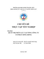 Quản trị nhân lực tại Tổng Công ty Cổ Phần Sông Hồng