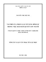 Vai trò của pháp luật tố tụng hình sự trong việc bảo đảm quyền con người