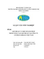 Lợi nhuận và một số giải pháp nhằm nâng cao lợi nhuận tại Công ty Cổ phần SOHACO Việt Nam