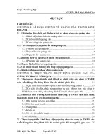 Thực trạng và một số giải pháp nhằm nâng cao hiệu quả hoạt động quảng cáo của công ty TNHH sản xuất Hàng tiêu dùng Bình Tiênchi nhánh phía Bắc