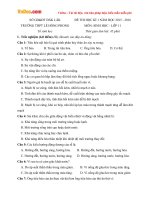 Đề thi học kì 1 môn Sinh học lớp 11 trường THPT Lê Hồng Phong, Đăk Lăk năm học 2015 - 2016