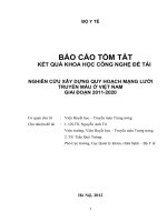NGHIÊN CỨU XÂY DỰNG QUY HOẠCH MẠNG LƯỚI TRUYỀN MÁU Ở VIỆT NAM GIAI ĐOẠN 2011-2020