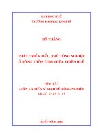 Phát triển tiểu, thủ công nghiệp ở nông thôn tỉnh thừa thiên huế