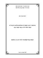 Sử dụng kênh hình có hiệu quả trong dạy học địa lí ở tiểu học 