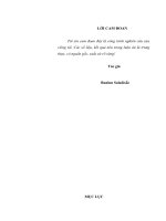 Luận án tiến sĩ xây dựng đội ngũ thủ trưởng chính trị ở các trung đoàn bộ binh quân đội nhân dân lào trong giai đoạn hiện nay