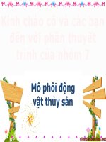Bài thuyết trình nhóm mô phôi động vật thủy sản quá trình phát triển phôi và các giai đoạn ấu trùng của cua biển