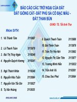 BÁO CÁO CÁC TRỞ NGẠI CỦA ĐẤTĐẤT GiỒNG CÁT ĐẤT PHÙ SA CỔ BẠC MÀU  ĐẤT THAN BÙN