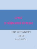 câpj nhật điều trị sốt xuất huyết