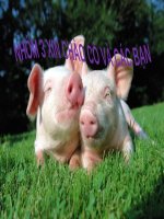 Bài thuyết trình nhóm  dịch bệnh và những yếu tố cấu tạo thành dịch bệnh trong thú y