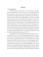 Tổ chức hoạt động ngoại khóa chương cơ học chất lưu