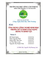 sáng kiến kinh nghiệm ứng dụng công nghệ sinh học trong xử lí kim loại nặng bằng vi sinh vật 