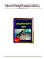 Boi duong thuong xuyen giao vien tieu hoc- modul 3