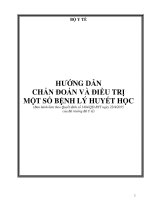 HƯỚNG DẪN CHẨN ĐOÁN VÀ ĐIỀU TRỊ MỘT SỐ BỆNH LÝ HUYẾT HỌC