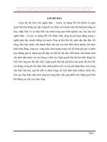 bài dự thi tìm hiểu nghị quyết cấp tỉnh