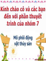 Bài thuyết trình nhóm mô phôi động vật thủy sản quá trình phát triển phôi và các giai đoạn ấu trùng của cua biển 