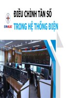 Dieu chinh tan so he thong dien