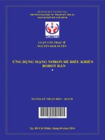ứng dụng mạng nơron để điều khiển robot rắn 