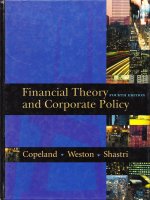 Financial theory and corporate policy 4th ed