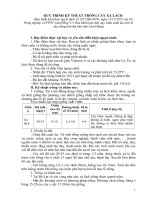 Quy trinh ky thuat trong cay xa lach