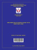 điều khiển con lắc ngược hai bậc tự do dùng fuzzy logic 