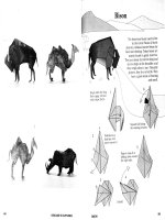 Origami sculptures cấu trúc nghiên cứu nghệ thuật gấp giấy Nhật Bản