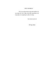 Luận án tiến sĩ phát triển tư duy lý luận của đội ngũ chính trị viên quân đội nhân dân việt nam hiện nay