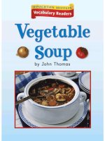 Leveled vocabulary readers    kindergarten   k 5 1   vegetable soup