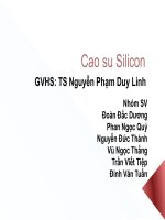 Slide cao su silicon K55