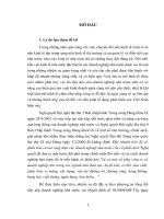 LUẬN văn THẠC sĩ   HOÀN THIỆN KHUNG PHÁP LUẬT về cổ PHẦN hóa TỔNG CÔNG TY NHÀ nước ở VIỆT NAM HIỆN NAY