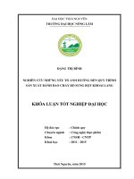 Nghiên cứu những yếu tố ảnh hưởng đến quy trình sản xuất bánh bao chay bổ sung bột khoai lang.