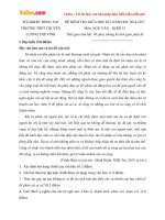 Đề thi giữa học kì 1 môn Ngữ văn lớp 12 trường THPT chuyên Lương Thế Vinh, Đồng Nai năm học 2016 - 2017