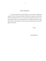 Ảnh hưởng của trách nhiệm xã hội doanh nghiệp tới lòng trung thành của khách hàng nghiên cứu trong ngành thức ăn chăn nuôi tại miền Bắc Việt Nam.