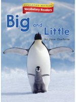 Leveled vocabulary readers    kindergarten   k 1 1   big and little   WORDLESS