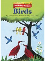 Leveled vocabulary readers    kindergarten   k 2 3   birds