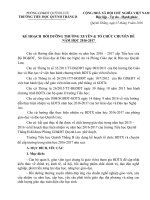 Kế hoạch chỉ đạo công tác bồi dưỡng thường xuyên và tổ chức các chuyên đề năm học 2016 2017