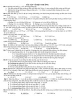 bài tập điện trường vật lí 11