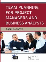 Team planning for project managers ang business analysts