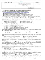 đề thi vật lí 11 ôn tập