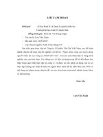 Hoàn thiện công tác tuyển dụng nguồn nhân lực tại Công ty TNHH SG Vina