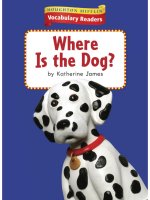 Leveled vocabulary readers    kindergarten   k 4 1   where is the dog