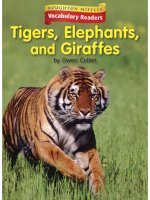Leveled vocabulary readers    kindergarten   k 10 1   tigers, elephants, and giraffes