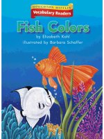 Leveled vocabulary readers    kindergarten   k 2 2   fish colors