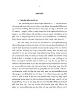 LUẬN văn THẠC sĩ   HOẠT ĐỘNG PHÁT HIỆN, điều TRA tội PHẠM cố ý làm TRÁI QUY ĐỊNH của NN về QUẢN lý KT gây hậu QUẢ NGHIÊM TRỌNG TRONG đầu tư xây DỰNG cơ bản  ở LAI CHÂU