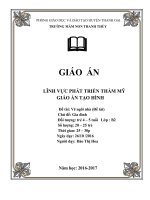 Giáo án mầm non tạo hình
