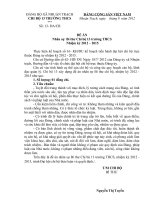 DE AN BI THƯ CHI BO  2012 