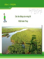 Vùng lõi VQG xuân thủy